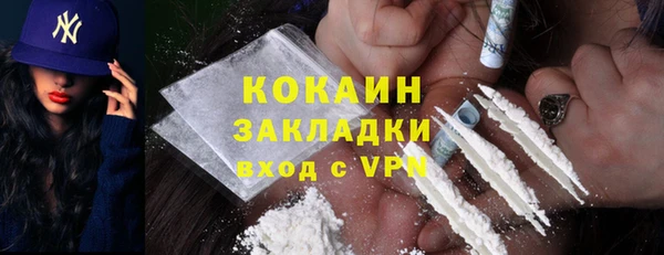 прущие грибы Беломорск
