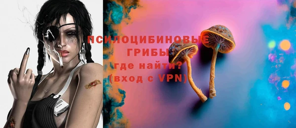 хмурый Белокуриха