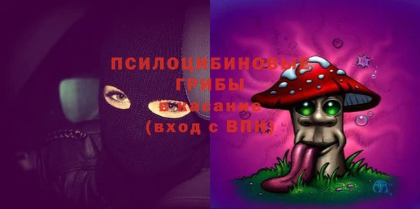 прущие грибы Беломорск