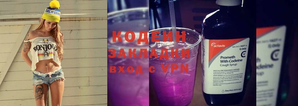 хмурый Белокуриха
