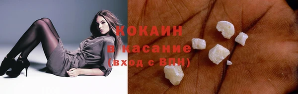 хмурый Белокуриха