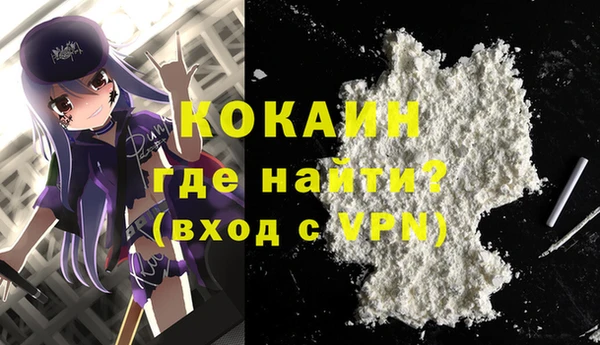 прущие грибы Беломорск