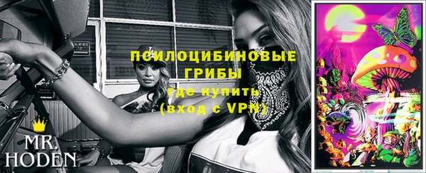 хмурый Белокуриха