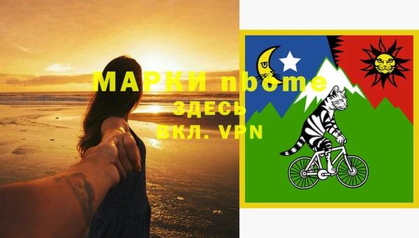 хмурый Белокуриха